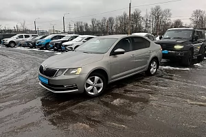купить Шкода Octavia 2019, автосалон 